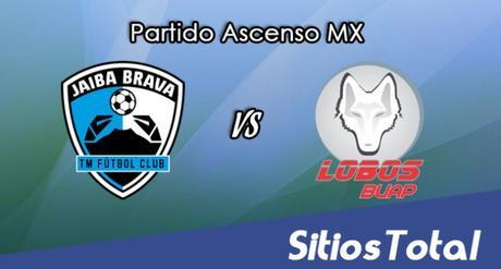 Tampico Madero vs Lobos BUAP en Vivo – Online, Por TV, Radio en Linea, MxM – AP 2016 – Ascenso MX