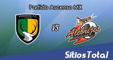 Venados FC vs Alebrijes de Oaxaca en Vivo – Online, Por TV, Radio en Linea, MxM – AP 2016 – Ascenso MX Venados FC vs Alebrijes de Oaxaca en Vivo – Online, Por TV, Radio en Linea, MxM – AP 2016 – Ascenso MX