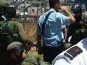 Nuevo ataque terrorista islámico “palestino” puñaladas Cisjordania: soldados israelíes heridos