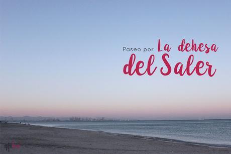 Cerramos por vacaciones