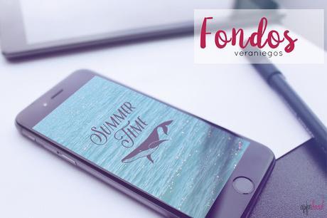 Cerramos por vacaciones