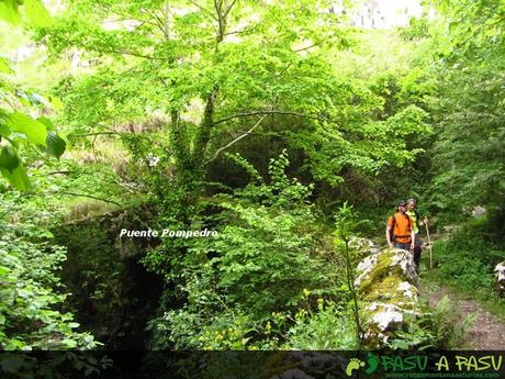 Puente Pompedro, La Molina, Cabrales