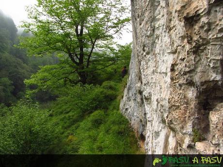 Pared caliza al inicio de la canal de la Llucía