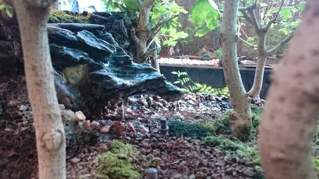Diorama con Acers Campestres  : 11  El rio funciona