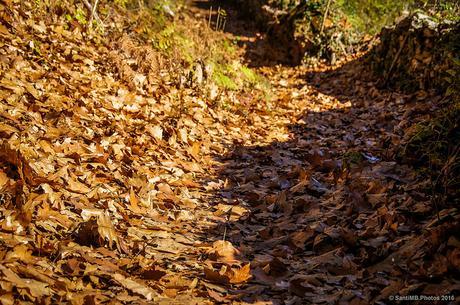 ¿Arrastramos los pies?