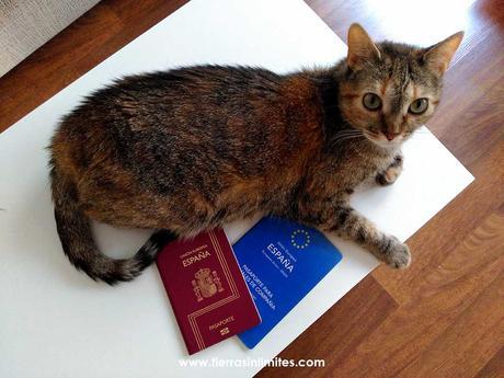 pasaporte europeo mascotas