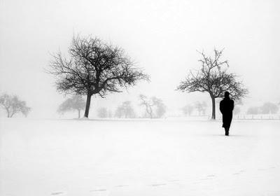 Cosas de la vida breve 14