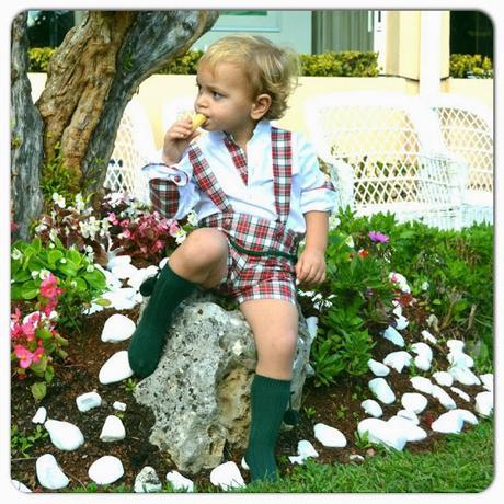 CUADROS 1ª PARTE Y ME LANZO A LA COSTURA CUADROS 1ª PARTE Y ME LANZO A LA COSTURA