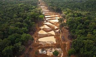 Intelectuales de la UCV manifiestan rechazo al Arco Minero