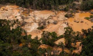 Intelectuales de la UCV manifiestan rechazo al Arco Minero