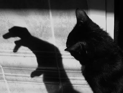 Gatos Negros, ¿mascotas del diablo?