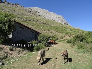 Caldas de Luna-Pico Vela-Pincuejo-Cacabillos-La Vallinona-La Vega de Robledo