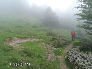 Xomezana Riba-Xuan Pelayo-El Puzu los L.lobos-La Braña-Las Porquerizas