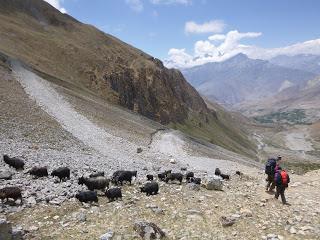 ANNAPURNA CIRCUIT ETAPA 8: THORONG PEDI (4450 m) - THORONG LA PASS (5416 m) - MUKTINATH (3760 m) ANNAPURNA CIRCUIT ETAPA 8: THORONG PEDI (4450 m) - THORONG LA PASS (5416 m) - MUKTINATH (3760 m)