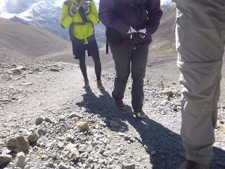 ANNAPURNA CIRCUIT ETAPA 8: THORONG PEDI (4450 m) - THORONG LA PASS (5416 m) - MUKTINATH (3760 m) ANNAPURNA CIRCUIT ETAPA 8: THORONG PEDI (4450 m) - THORONG LA PASS (5416 m) - MUKTINATH (3760 m)