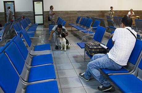 Foto: Ladyrene Pérez/ Cubadebate.