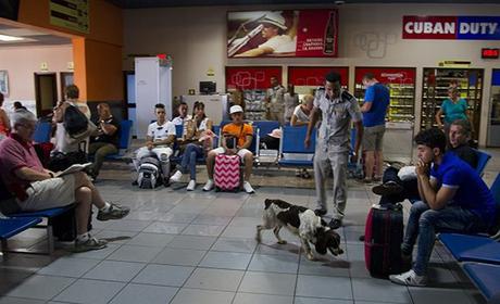 Foto: Ladyrene Pérez/ Cubadebate.