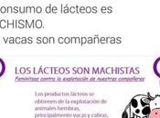 Como regadera: ordeñar vacas también sería machista