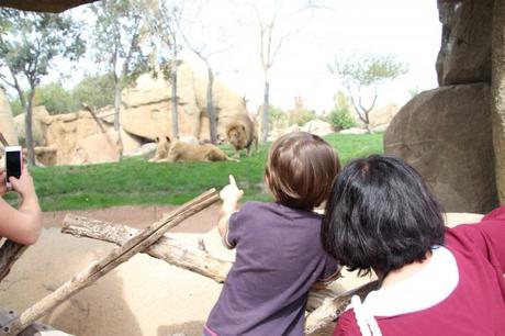 Bioparc Valencia