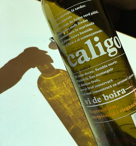 vino caligo spoonik bacoyboca