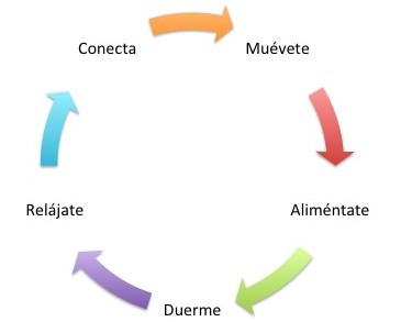 5 Decisiones Diarias para una Productividad Extraordinaria