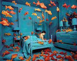 sueño con tener delirios