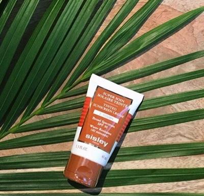 Palmeras en este Verano