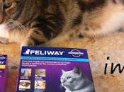Probando Feliway