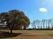 Descubriendo Tarragona (I): villa romana Centcelles