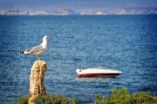 ISLA DE TABARCA