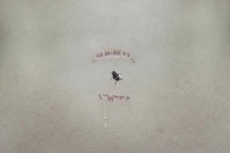 Yung Cheng Lin - fotografías -totenart - noticias