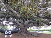 Un atasco llamado Los Angeles Un atasco llamado Los Angeles