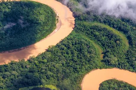 Reserva de Vida Silvestre Amazónica Manuripi