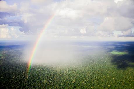 Reserva de Vida Silvestre Amazónica Manuripi