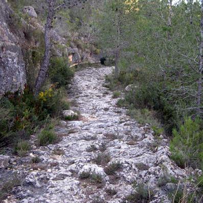 Caminando con las estrellas Camí de la Ceja