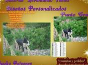 ¿Qué diseño "personalizado"?