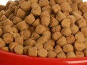 Orden ministerial sobre compraventa piensos subvenciones electorales