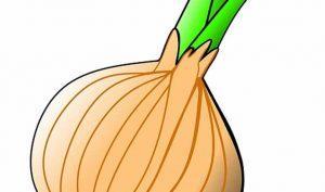 Remedio casero de cebolla para la cistitis