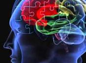 universo sensorial