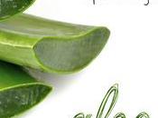 Introducción aloe vera