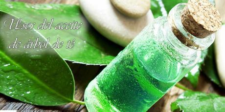 usos aceite árbol de té usos aceite árbol de té