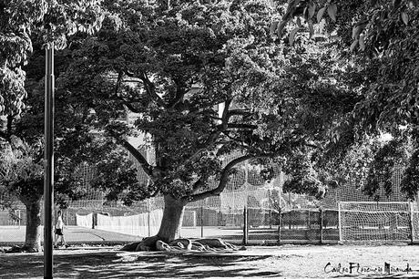 Blanco y Negro. Las redes de una cancha de futbol en Parque Las Heras.