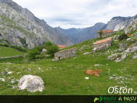 Ostón, en Picos de Europa