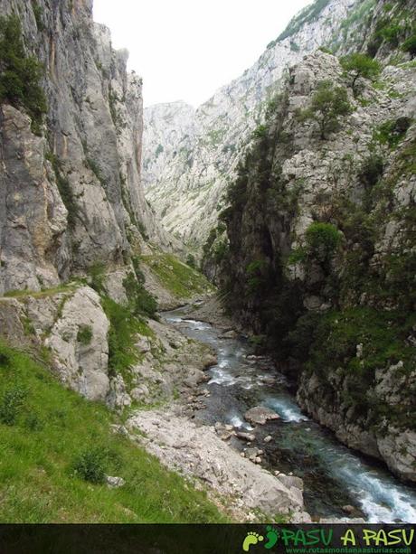 Senda baja del Cares y río Cares