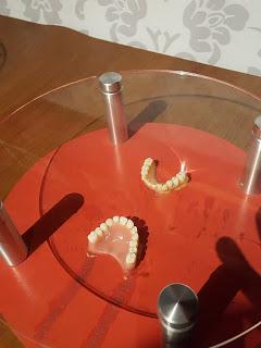 MUSEO DE CERA: EL MADAME TUSSAUDS DE NY