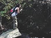 Visit Company Assessment Egypt