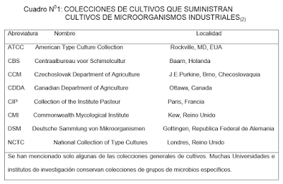 NUTRICIÓN VEGETARIANA PURA: Vitamina B12 (Cobalamina)