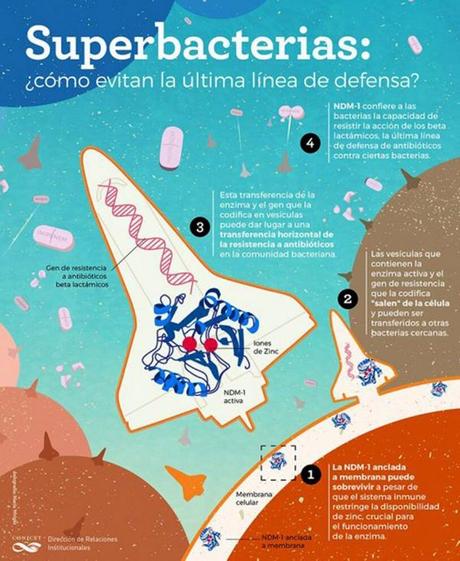 Científicos argentinos están cerca de vencer a las superbacterias.