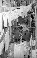 El amor molesto - Elena Ferrante