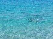 Bella Aurora, anti-manchas, solares, sérum tratamientos